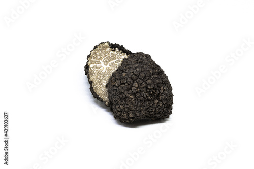 black truffle, tuber aestivum, white background