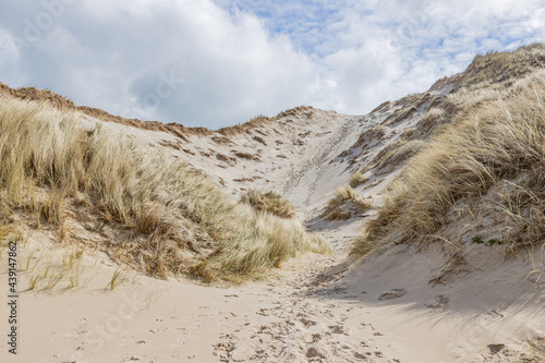 Coastal dunes with white sand and wild grass in a Dutch reserve, sunny spring day with a sky covered by white clouds in Schoorlse Duinen, North Holland, Netherlands