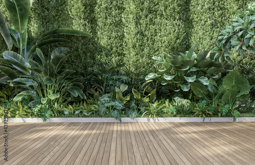 Empty wooden terrace with green wall 3d render,There are wood plank floor with tropical style tree garden background sunlight shine on the tree