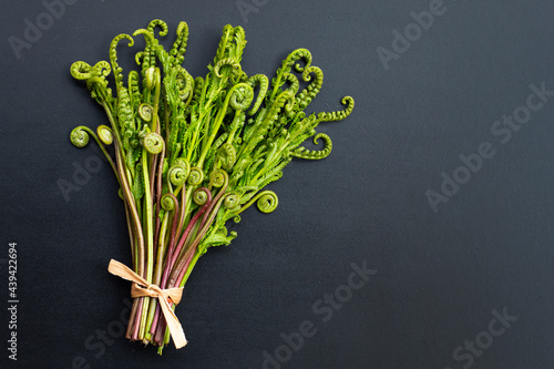 Paco Fern on dark background.