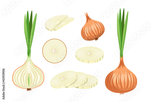 Set of Onions with Brown Husk, Eco Farm Production. Natural Plant, Garden Vegetable, Veggies Healthy Food, Ripe Bulb