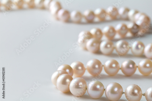 Pink pearl necklace isolated on white with copy space - pearl bead strand