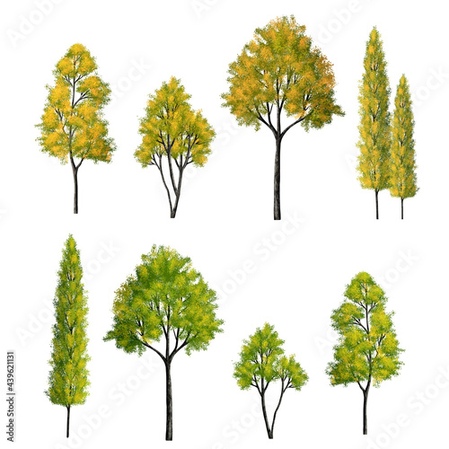 Collection of abstract watercolor tree side view isolated on white background for landscape and architecture layout drawing, elements for environment and garden, autumn tree illustration
