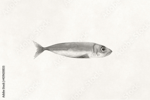 illustration of stylized simple little fish