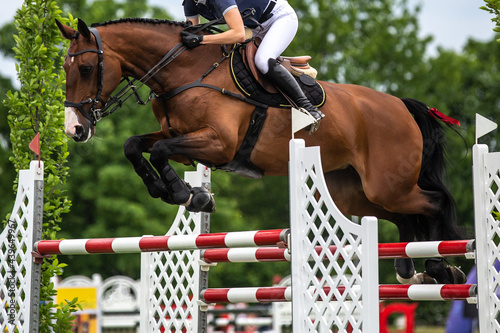 Horse Jumping, Equestrian Sports, Show Jumping themed photo.