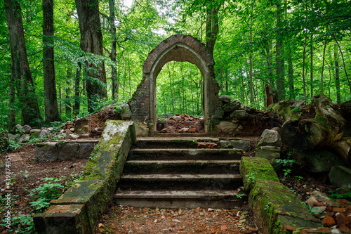 Abandoned old crypt in the middle of a forest in the Kaliningrad region