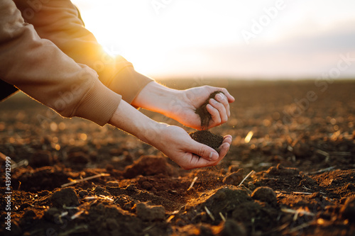 Farmer holding soil in hands close-up. Male hands touching soil on the field. Farmer is checking soil quality before sowing wheat. Agriculture, gardening or ecology concept