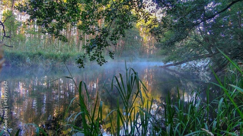 Krutynia rzeka River poranek wschód słońca