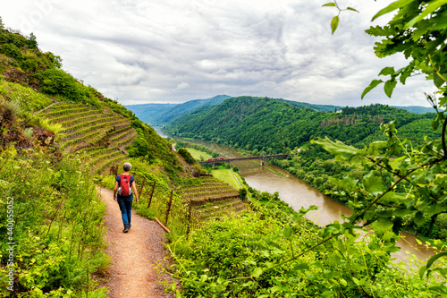 Durch den Calmont von Bremm nach Ediger-Ellig an der Mosel