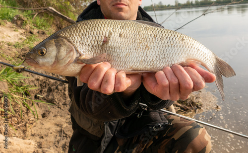 ide fish caught by the river