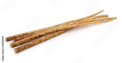 Japanese edible greater burdock root, dietary fiber food