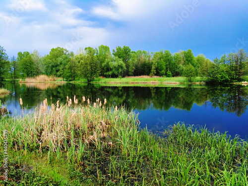 Beautiful view of the river with green banks and blue sky. Colorful landscape.