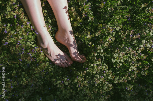 Top view of woman's legs in a wild melissa grass