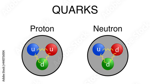 Illustration of up and down quarks in proton and neutron.