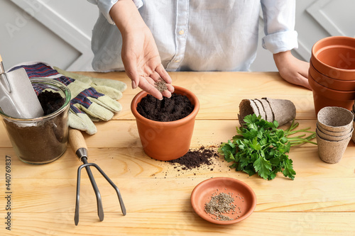 Woman sowing parsley seeds into soil on wooden table