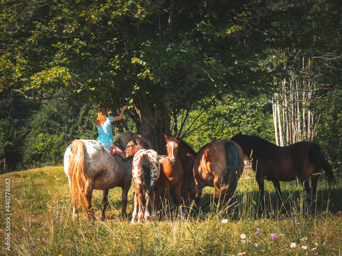Little blonde girl riding a horse with other horses in the pasture