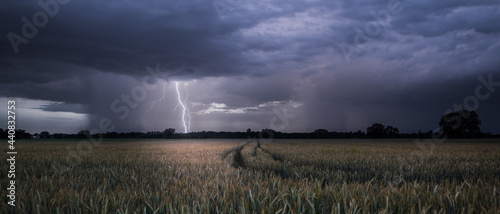 Lightning strike during a summer thunderstorm near Rastatt Plittersdorf