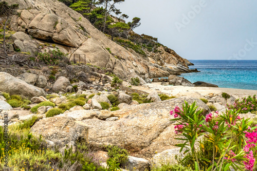 Granite rocks in the Cala Maestra in the isle of Montecristo, in the Tyrrhenian Sea and part of the Tuscan Archipelago. 