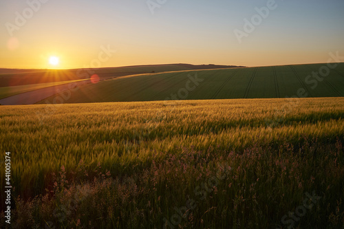 Farmland on South Downs National Park with the sun setting over the Sussex Weald. The low sun is casting highlights and shadows onto the hills.