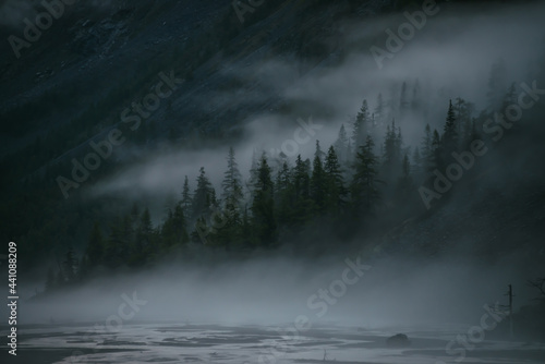 Minimal mountain scenery with low clouds among coniferous trees on steep slope. Alpine landscape of mountainside with tops of firs in low clouds. Silhouettes of trees in fog. Imitation of watercolor.