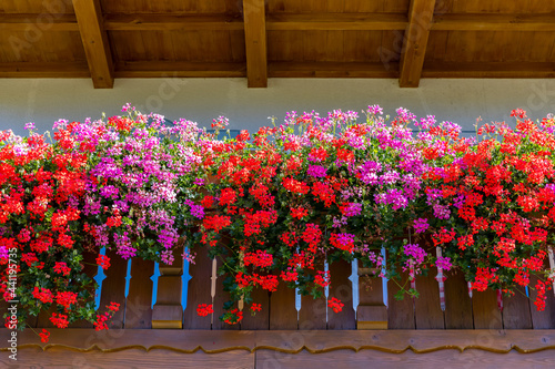 Flower decorated terrace of a house. Background of multiple flowers in balcony.