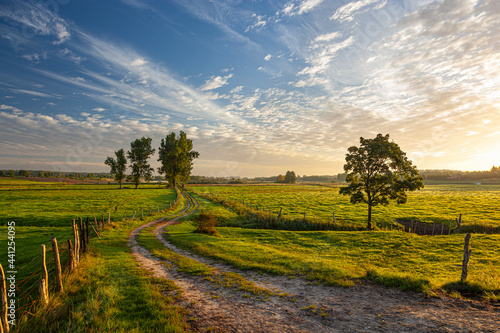 A field road between pastures and meadows at sunrise near the village of Gamerki Wielkie in Warmia and Mazury in Poland