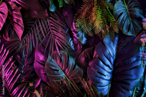 Tropical dark trend jungle in neon illuminated lighting. Exotic palms and plants in retro style.
