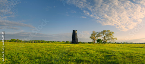 English rural scene with open pasture and wild flowers with disused mill on horizon. Beverley, UK.