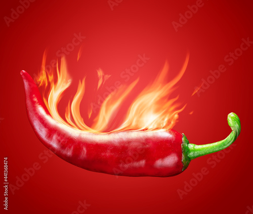 Fresh red chilli pepper in fire as a symbol of burning feeling of spicy food and spices at red background.