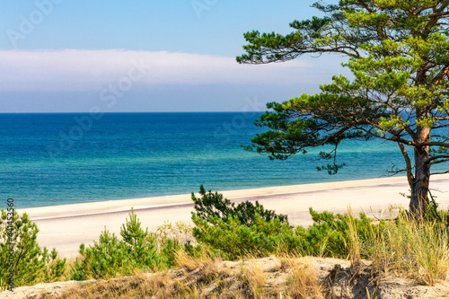 Summer landscape. A lonely beach with white sand and blue sea. View of Baltic sea coast. Hel Peninsula, Hel, Pomerania, Poland