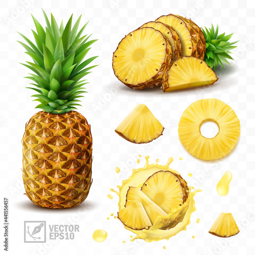 3d realistic isolated vector set of pineapple with juice splash, whole pineapple with leaves and splash with drops, falling pineapple slices in pineapple juice and pineapple slices with a half