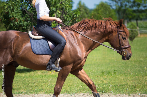  Pretty girl in a riding gear on sorrel horse: bridle, boots, stirrups, saddle
