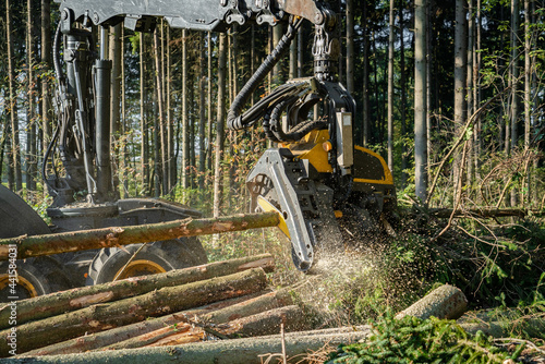Moderne Maschinen erleichtern die Waldarbeit - Harvester im Einsatz.
