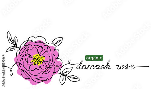 Damask rose, bulgarian flower vector illustration, background for label design. One continuous line art drawing illustration with lettering organic damask rose