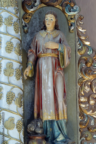 Saint Vitus, statue on the altar of Saint Anthony the Hermit in the parish church of Saint Peter in Petrovina, Croatia