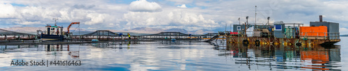 A panorama view along a Salmon Farm in the Firth of Lorn opposite Oban, Scotland on a summers day