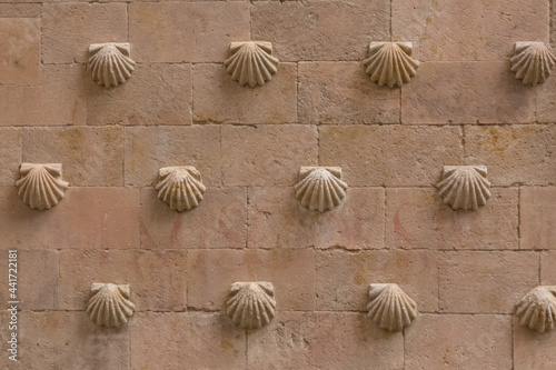 Architecture textures, detailed view of a traditional pattern texture wall on shell house, Casa de las Conchas, on Salamanca
