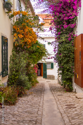 Calle con Muchas Plantas y Flores del pueblo de Cascais, pais de Portugal