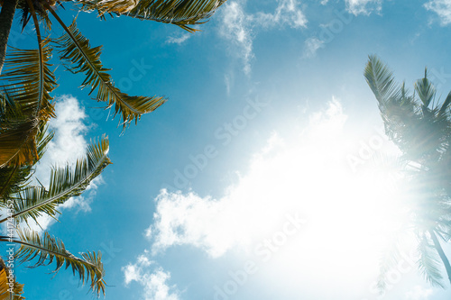 Tropikalny krajobraz, palmy kokosowe na tle nieba i słońca.