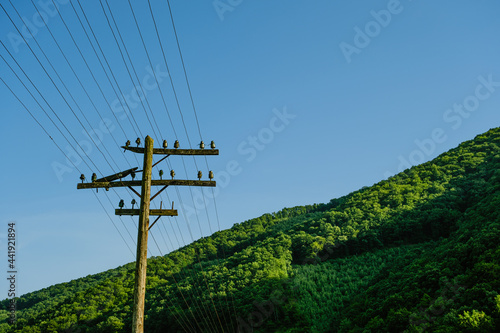 a wooden, electric pole by the railroad tracks