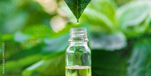 Essential oil extract of medicinal herbs in a small bottle. Selective focus.