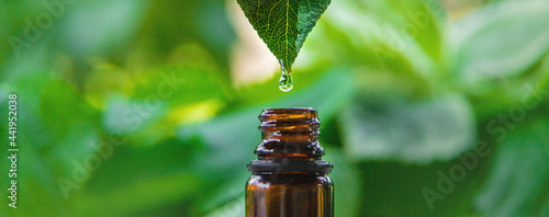 Essential oil extract of medicinal herbs in a small bottle. Selective focus.