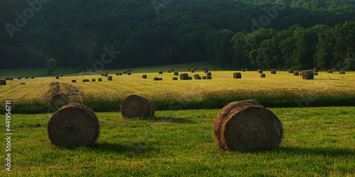 Sunrise on an early Summer's Day here in the Windsor Area in Broome County in Upstate NY. Bails of hay spread out over the field in Ouaquaga. Warm morning lighting sets the mood. Sidelit and pastel