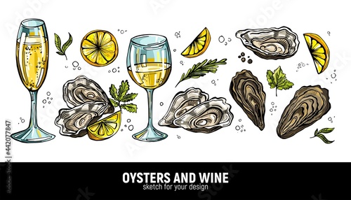 A hand-drawn set of oysters and white wine (champagne). Sea delicacies for a romantic holiday. Sketches for menus or ads