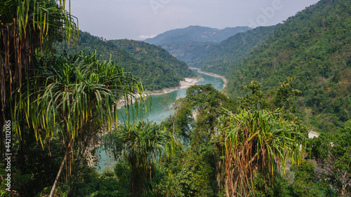 Beautiful landscape panorama of the Siang or Siyom river valley with pandanus trees in foreground, West Siang, Arunachal Pradesh, India 