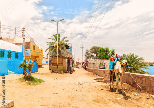 Traditional nubian village view, Africa, Egypt, Aswan