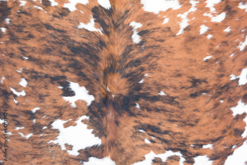 the texture of white and brown cowhide 