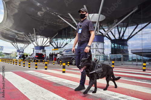 Male security worker with police dog crossing the road at airport