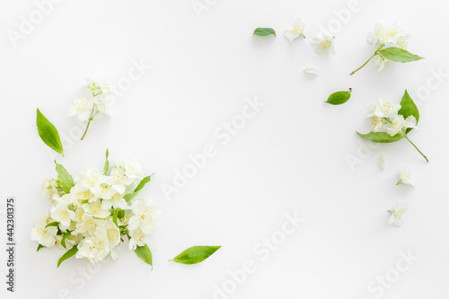 Frame of white jasmine flowers. Top view flat lay