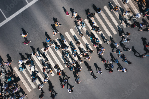 Different people at a pedestrian crossing in the city. People at a zebra pedestrian crossing - a lot of pedestrians in an overcrowded city on a sunny day. Aerial drone shot. 